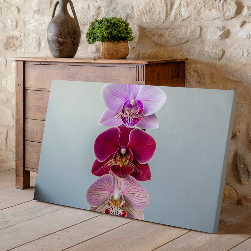 Toile une composition verticale mettant en vedette trois fleurs d'orchidées distinctes disposées en art mural, une rangée sur un fond neutre doux