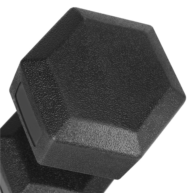Hex Dumbbells Set for Strength Workouts, 44 LB