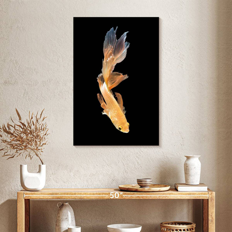Brampt Betta Fish Dive, 36" H x 24" W