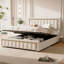 Dekker Luxury Velvet Ottoman Storage Bed with Gold Trim-456115800-456115803