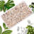 Ocean Spiral Seashells 1400-1500pcs Tiny Crushed Shells