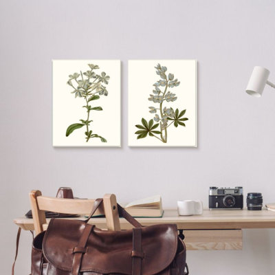 Étude illustrée rétro de fleurs botaniques bleues par Curtis - ensemble de 2 impressions d'art graphique