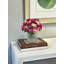 Silk Ranunculus Faux Floral in Vase-308528441