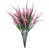 Rose est en rupture de stock