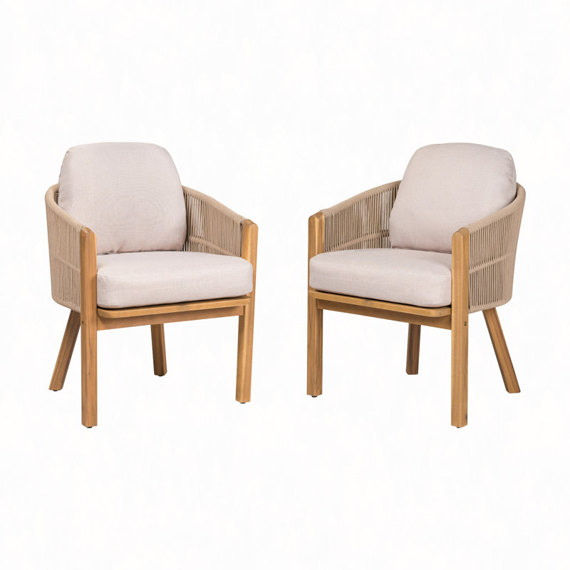 Chaise de salle à manger d'extérieur avec accoudoirs (ensemble de 2)