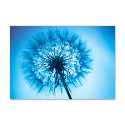 Dandelion - Wrapped Canvas Print