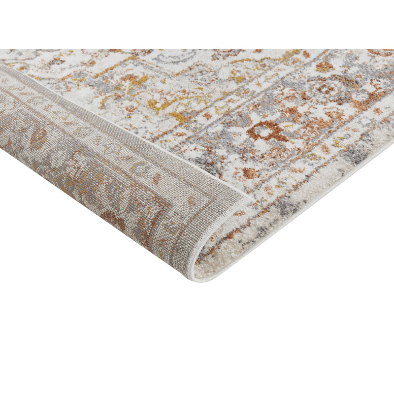 Cataliya Oriental Area Rug, Rectangle 200 x 300cm
