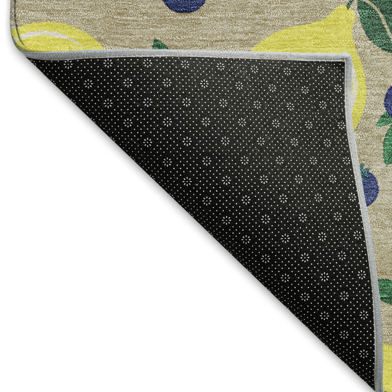 Machine Washable Indoor/Outdoor Chantille ACN2354 Fruits Rug, Rectangle 1'8" x 2'6"