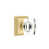 Chrome poli