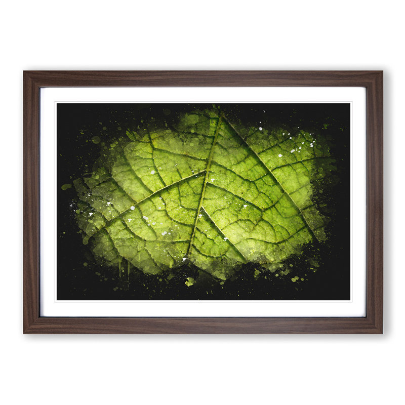 Leaf Roads Paint Splash - Picture Frame Graphic Art, 62cm H x 87cm W x 2cm D, Walnut Framed