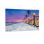 Christmas Snowy Beach Christmas Lights Palm Trees-311438792