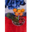 335 oz. Bol à fruits-1566708476