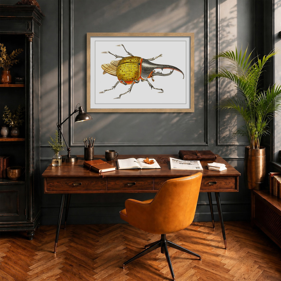 Hercules Beetle by George Shaw - Framed Print