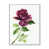 Toile avec cadre flottant blanc