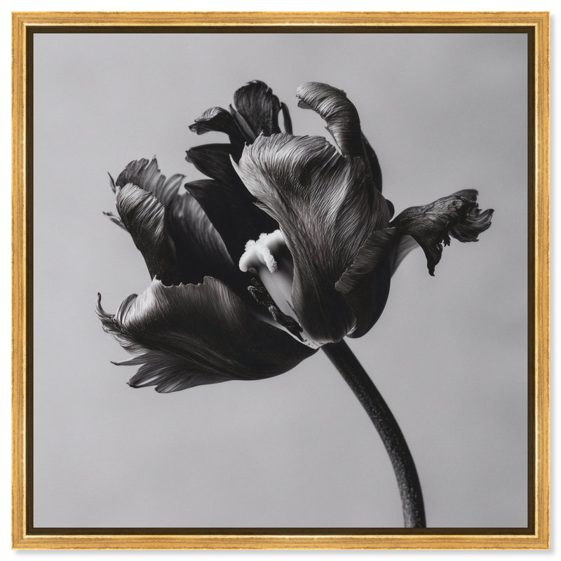 Tidal Wilt I Floral & Botanical Canvas Print by Oliver Gal, Black Frame, 12 x 12, 41"H x 41"W, Gold Floater Frame
