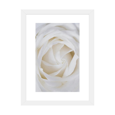 Roses blanches-reproduction de photo