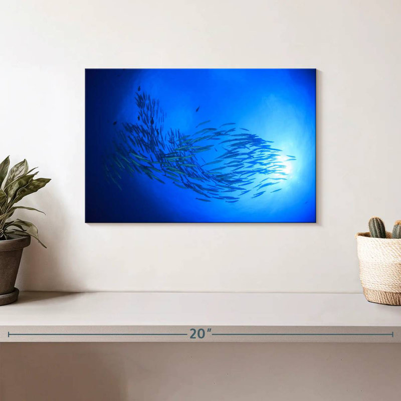 Aletra Sunrise Barracuda Fish, 8" H x 12" W