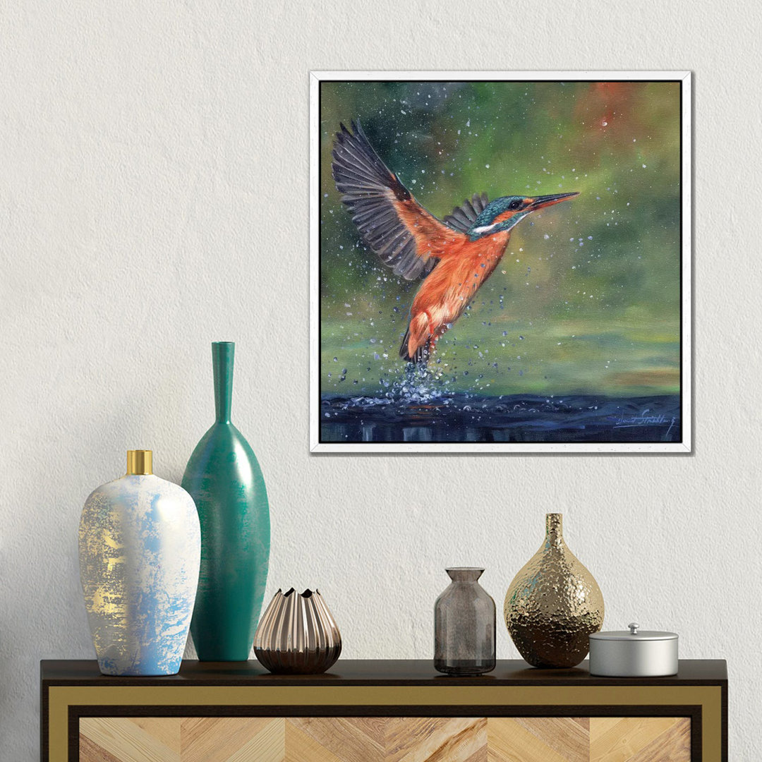 Eisvogel von David Stribbling - Galerie-umwickelte Leinwand Giclée