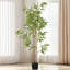 Faux bambou 70,75 po en pot