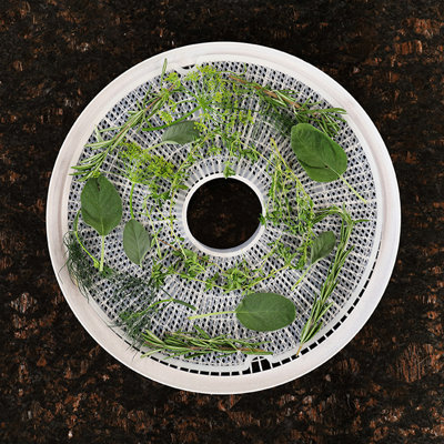 Déshydrateur d'aliments Nesco Clean- A-Screen® pour 4 plateaux de 500 watts