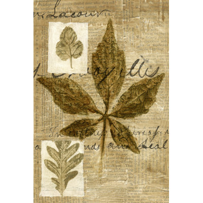 Leaf Collage III 1 Piece Wrapped Canvas Painting