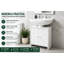 Under Sink Cabinet