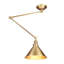 Evie Swing Arm Sconce-18980013
