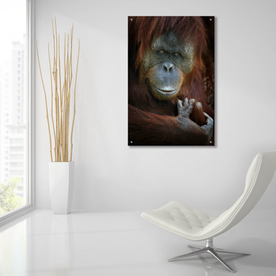 " Emotion " by SD Smart