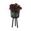 S / 3 POT DE BAMBOU 11/13/15 ", NOIR