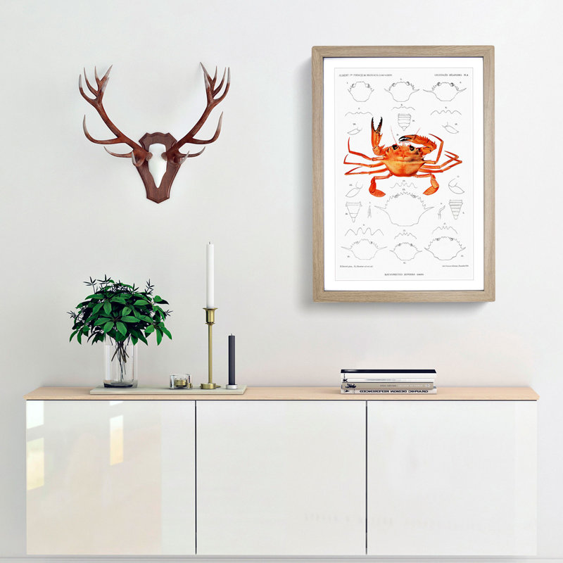 West African Crab by Albert I - Framed Print, 36cm H x 27cm W x 2cm D, Oak Framed