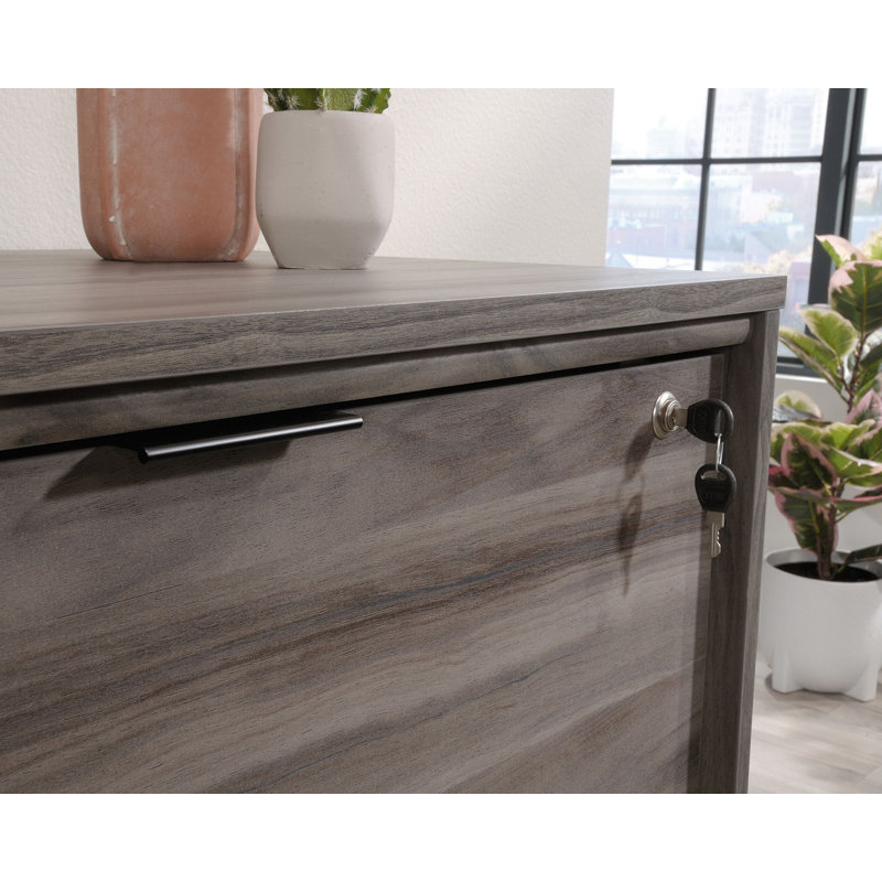 Armoire d'appoint Jeyhan, Noir, Gris