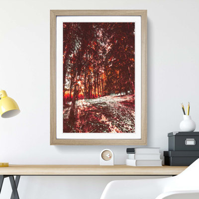Forest Sunlight - Framed Print