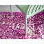 Tapis oriental mauve Annalotta-1810758745