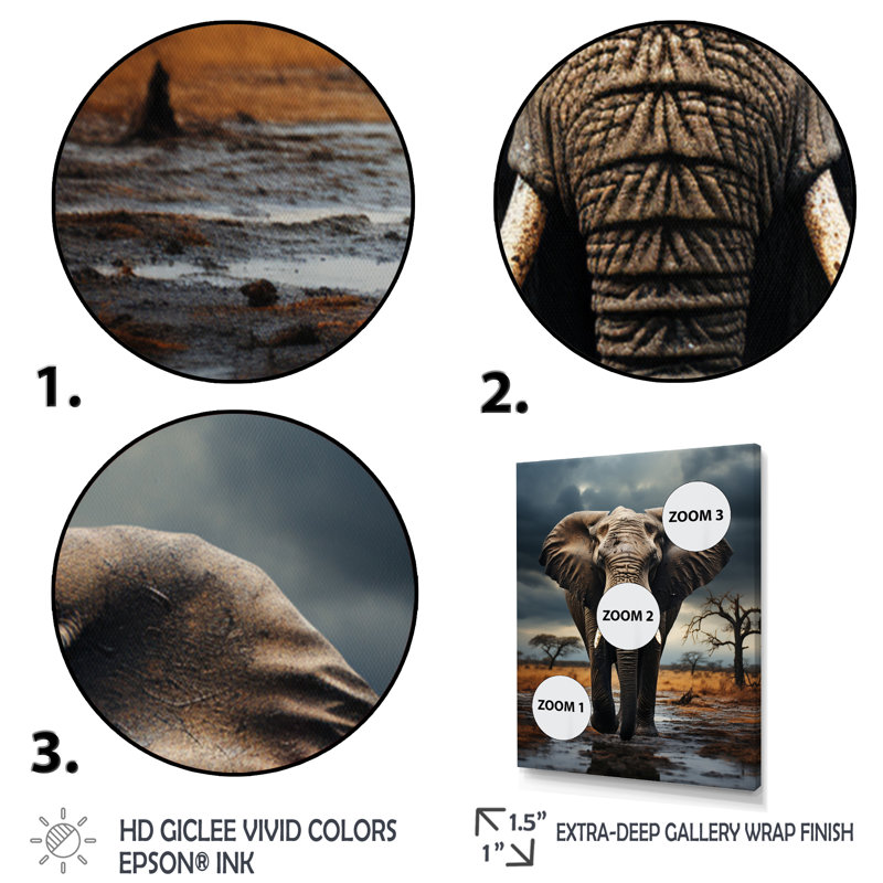 «Dangira Elephant Tales From Afar», reproduction sur toile, Cadre photo noir, H 20 po x l 12 po x P 1 po