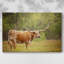 Toile tendue Sunlit Midwest I-Gallery