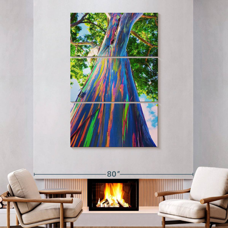 Eucalyptus Harnek Oahu Rainbow, H 74 po x l 48 po