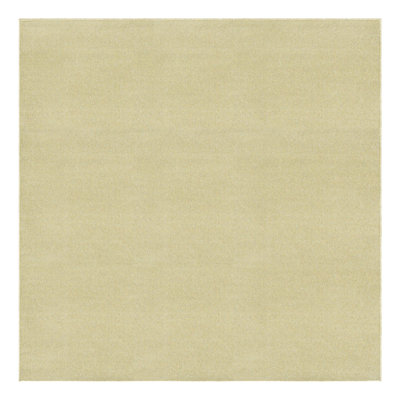 Performance Pastel Green Rug