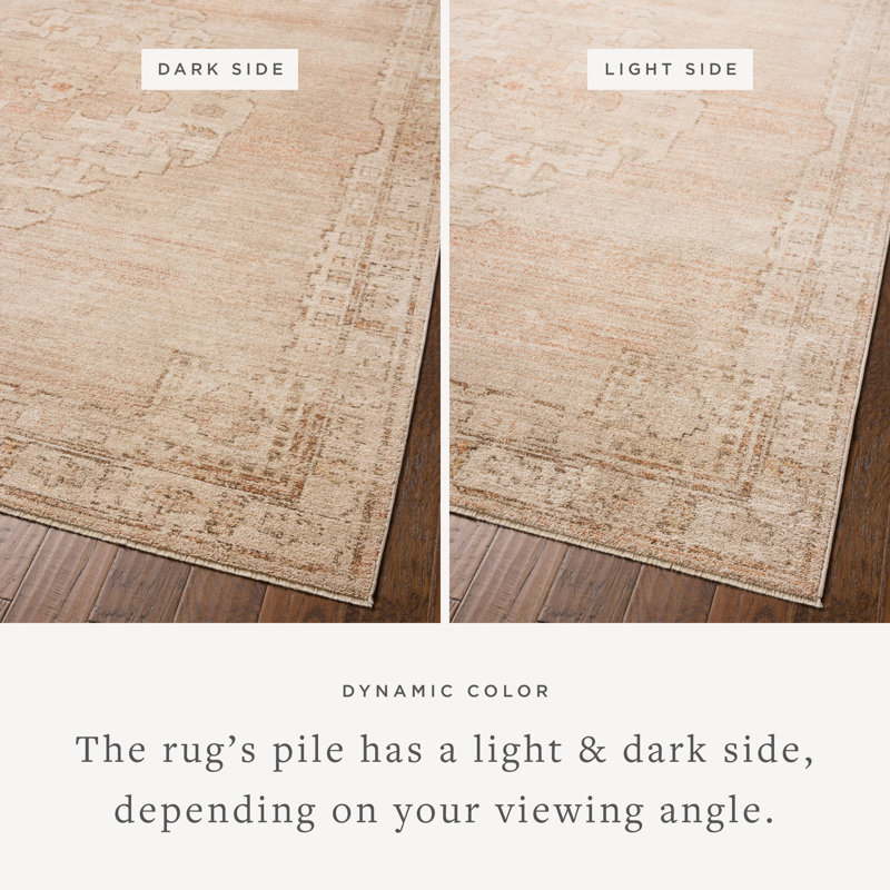 Chris Loves Julia x Loloi Palma Spice / Natural Area Rug, Rectangle 7'10" x 10'
