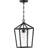 Alicia Outdoor Hanging Lantern