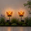 Luminaire de jardin 16,8 po