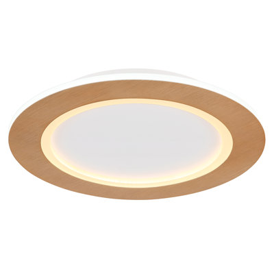 Chayil Acrylic LED Flush Mount