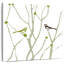 Petit oiseau Brampt