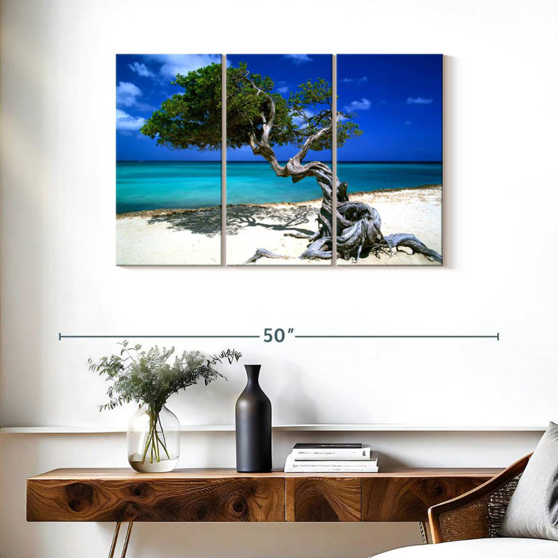 Divi Divi Tree Aruba Lesser Antilles, 24" H x 38" W