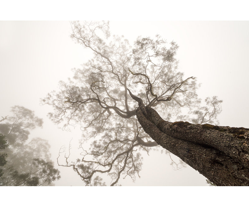 Wrapped Canvas Print, 91.44 cm H x 60.96 cm W