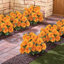 Zinnia Arrangement in Jar-2133228415