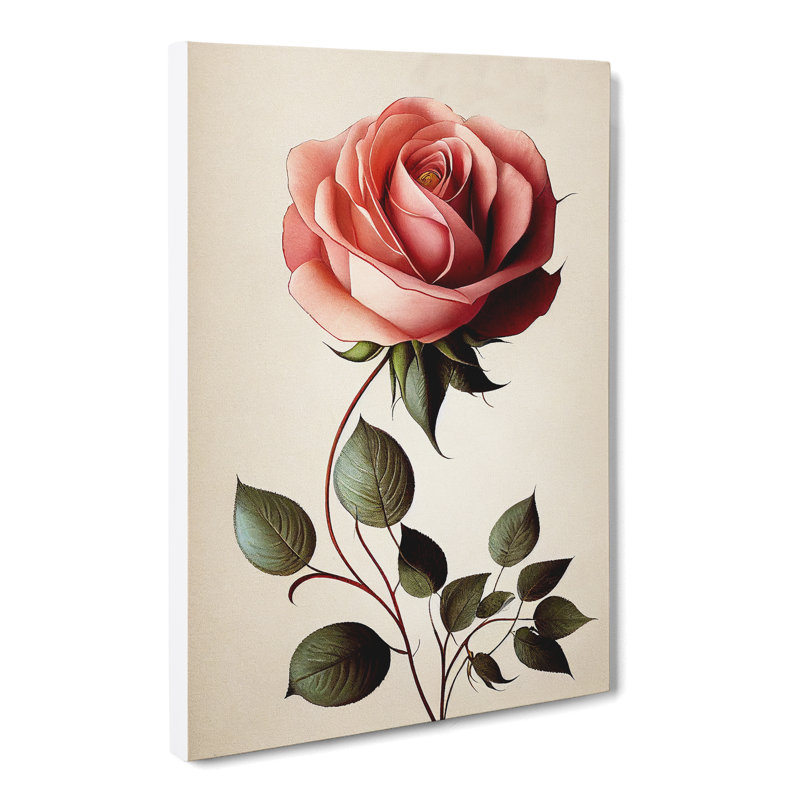 Hiwassee Rose Flower Art Nouveau - Wrapped Canvas Print, 50cm H x 35cm W