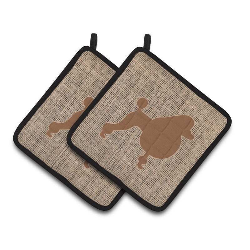 Manique caniche, Brun
