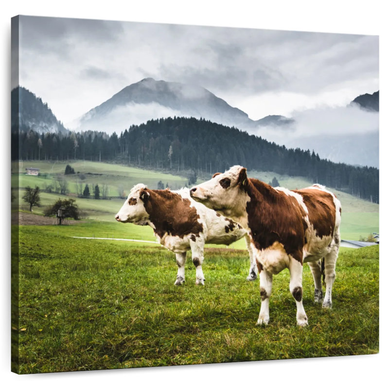 Brampt Wild Alpine Cows, 24" H x 24" W