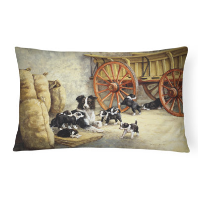  Coussin intérieur / extérieur Border Collie