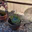 Customer photo 2 of 2
